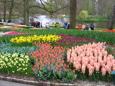 Keukenhof