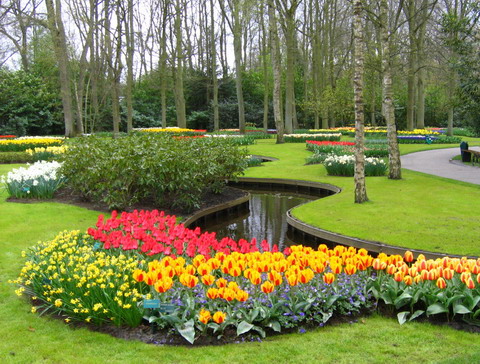 Keukenhof