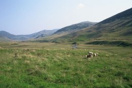 V-Skotska Grampian Mt