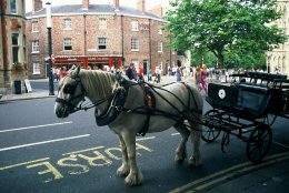 York