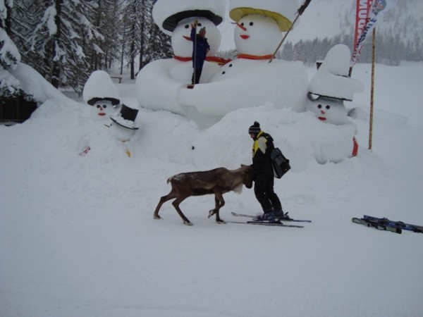 Kdo bo koga se itak ve!