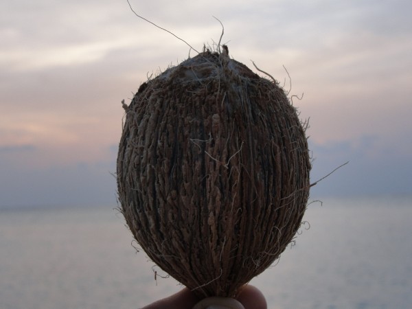 Majhen a vendarle slasten