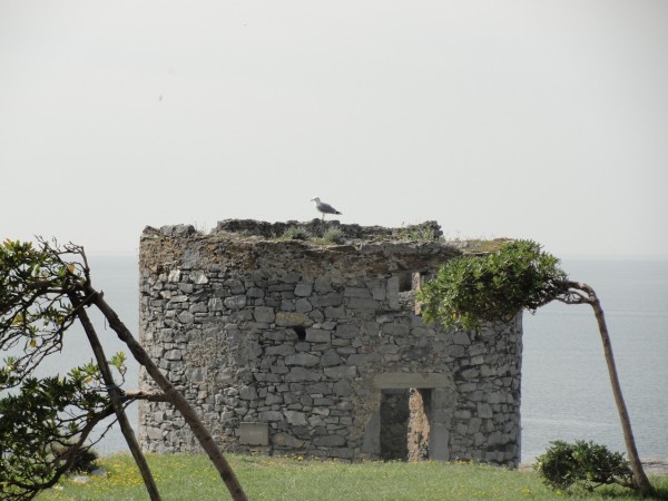 Ostanek mlina na veter