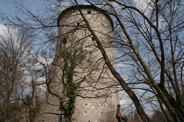 Ravbarjev stolp