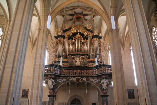 Orgle v Severikirche