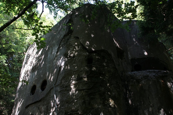 Danes je vhodni bunker skrit v gozdu